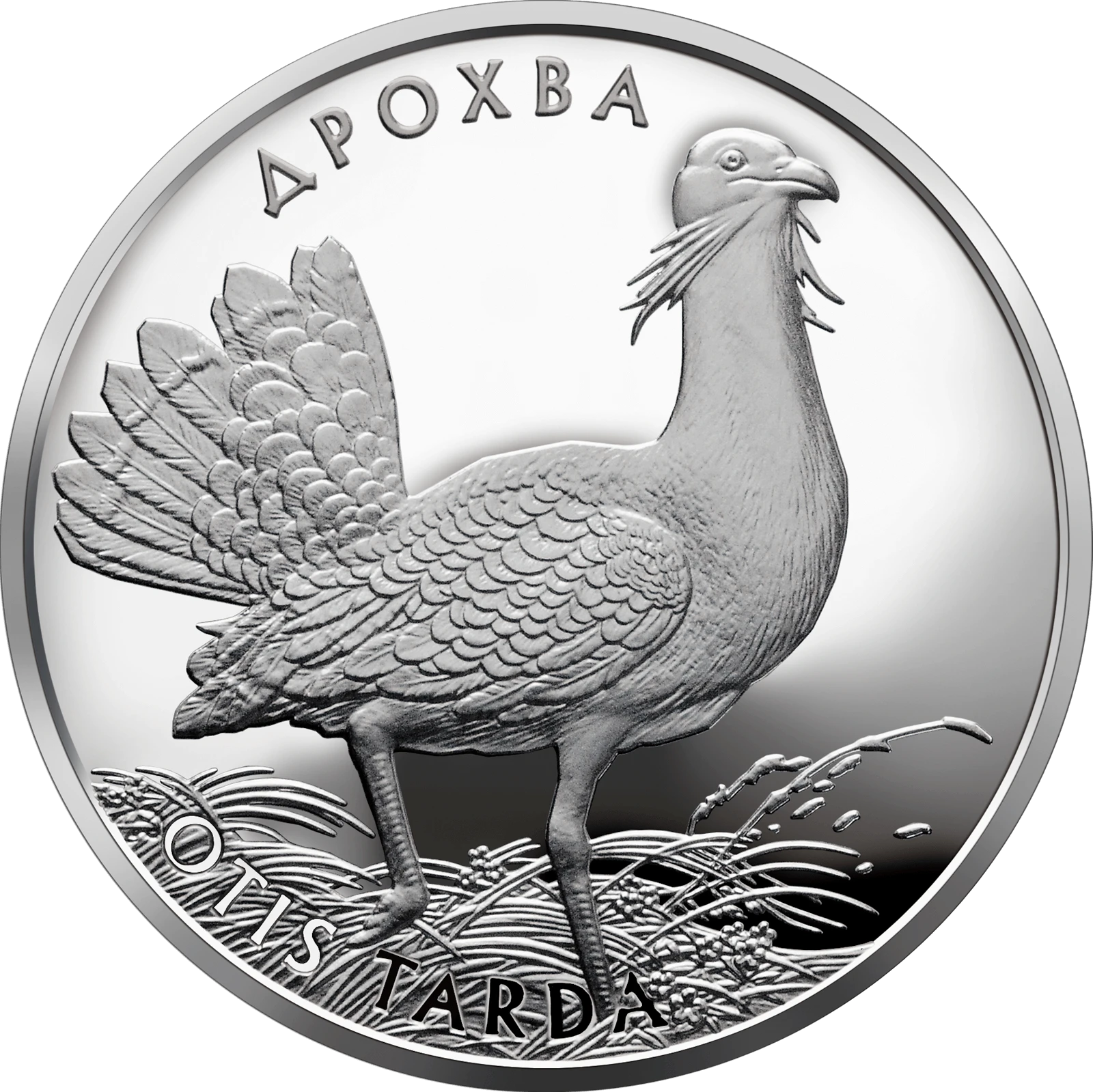 Реверс монети срібла «Срібна монета Дрохва», 2013 рік, 10 ₴