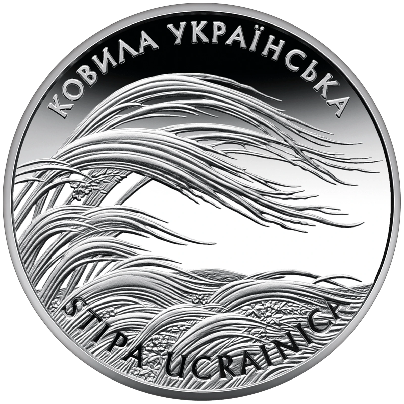 Реверс монети срібла «Срібна монета Ковила українська», 2010 рік, 10 ₴