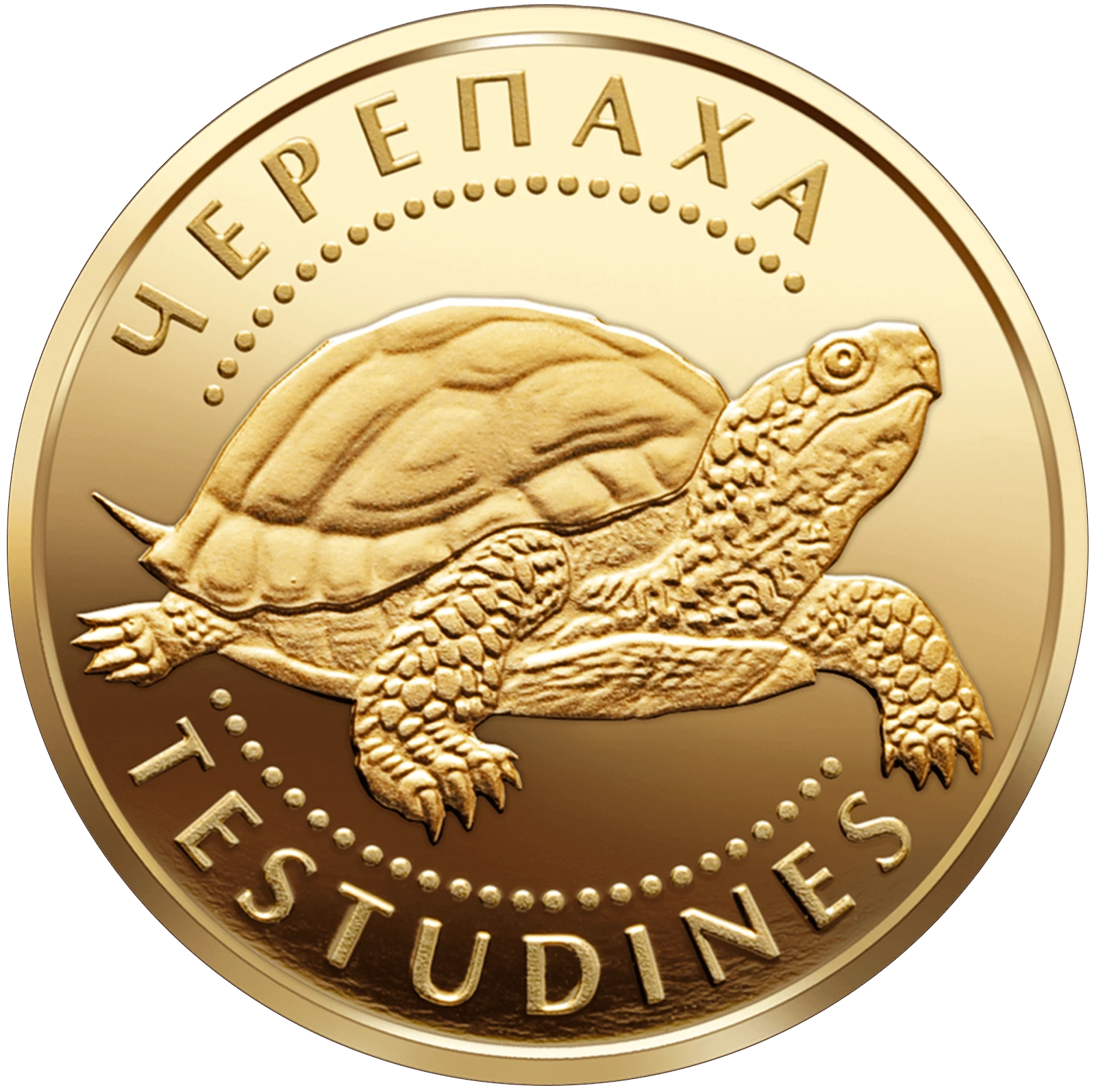 Реверс монети золота «Золота монета Черепаха», 2009 рік, 2 ₴