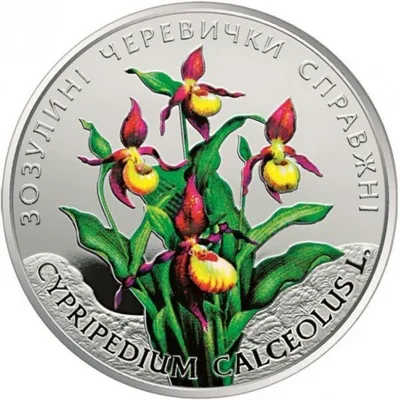 Монета Зозулині черевички справжні 2 грн.