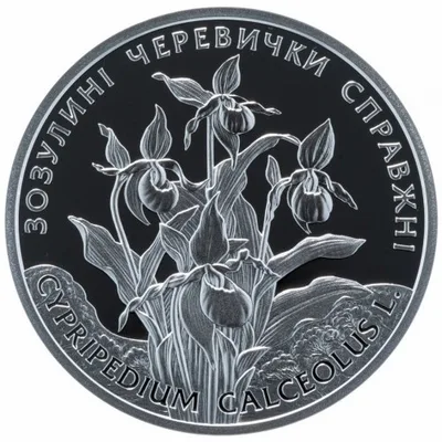 Срібна монета Зозулині черевички справжні 10 грн.