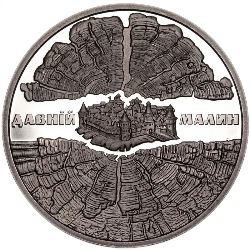 Реверс монети нейзильберу «Монета Давній Малин», 2016 рік, 5 ₴
