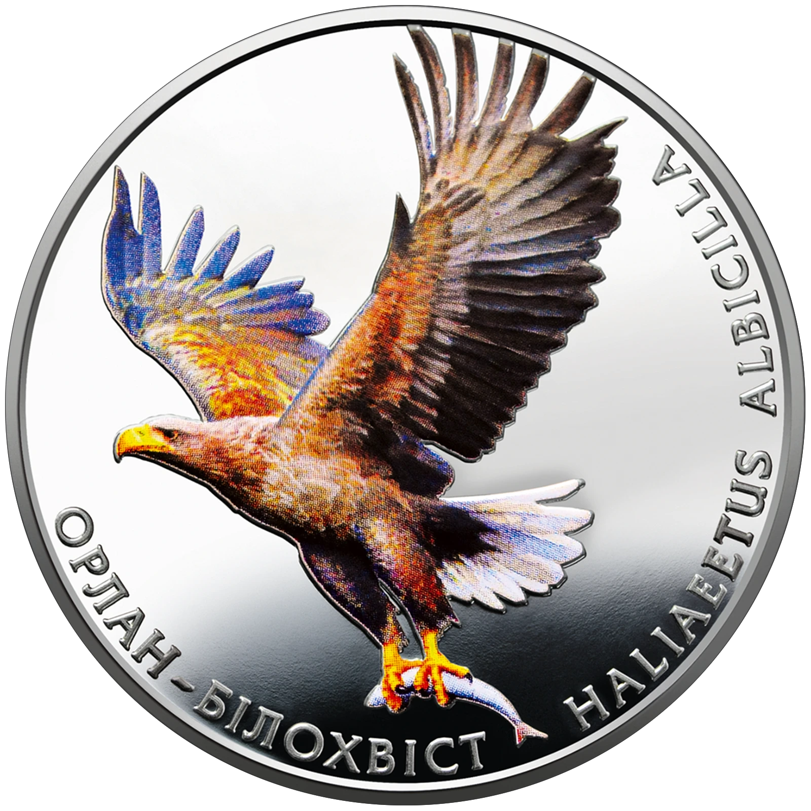 Реверс монети нейзильберу «Монета Орлан-білохвіст», 2019 рік, 2 ₴
