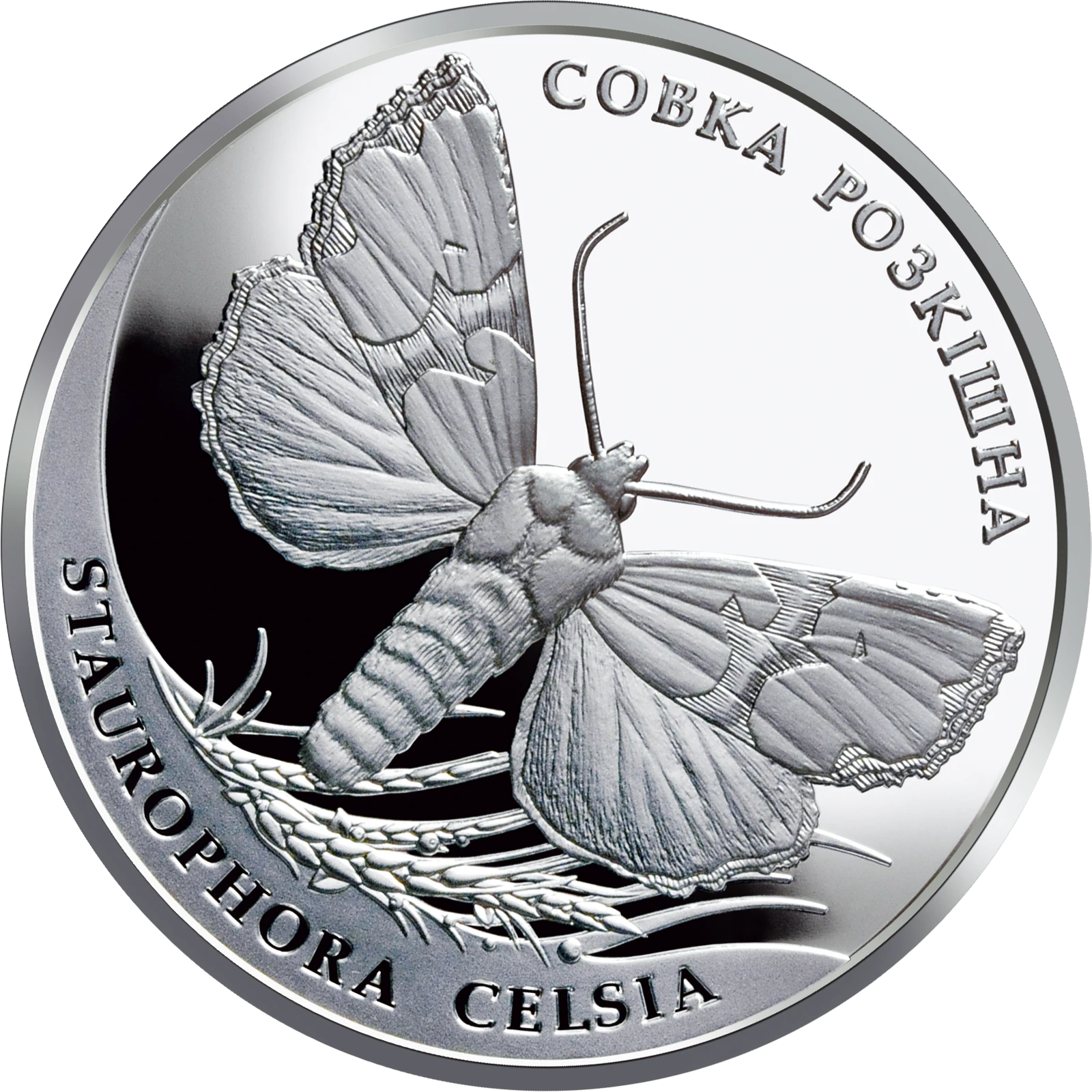 Реверс монети срібла «Срібна монета Совка розкішна», 2020 рік, 10 ₴