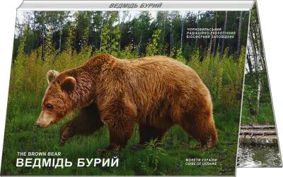 Аверс Монета Чорнобиль. Відродження. Ведмідь бурий у сувенірній упаковці 5 грн.