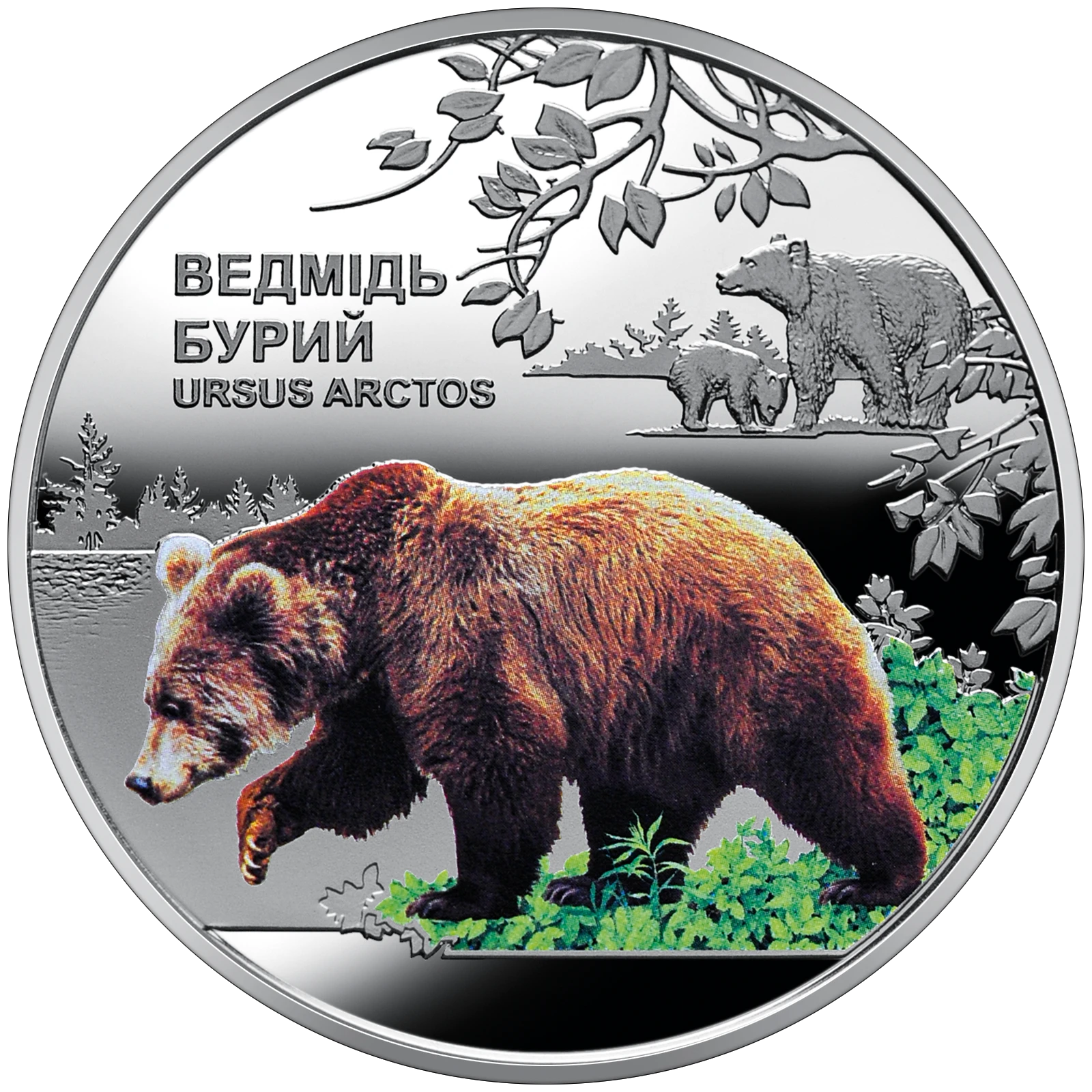 Реверс монети нейзильберу «Монета Чорнобиль. Відродження. Ведмідь бурий», 2022 рік, 5 ₴