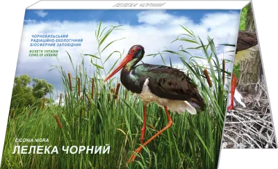 Аверс Монета Чорнобиль. Відродження. Лелека чорний у сувенірному пакованні 5 грн.